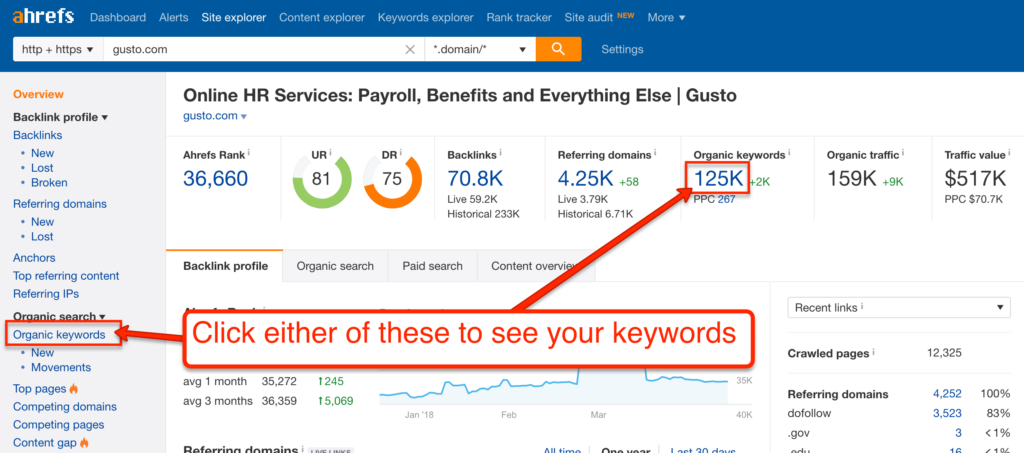 See your organic keywords